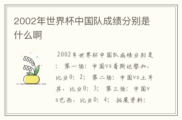 2002年世界杯中国队成绩分别是什么啊