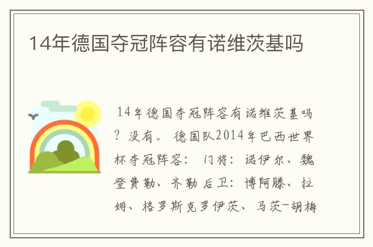 14年德国夺冠阵容有诺维茨基吗