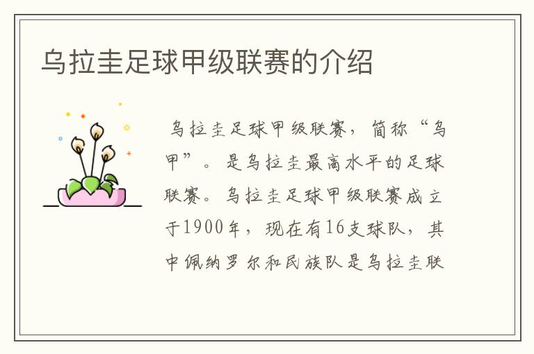 乌拉圭足球甲级联赛的介绍