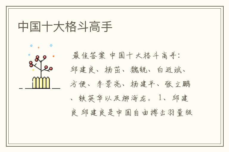 中国十大格斗高手