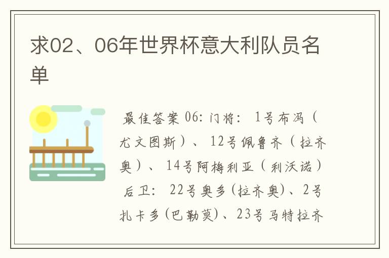 求02、06年世界杯意大利队员名单