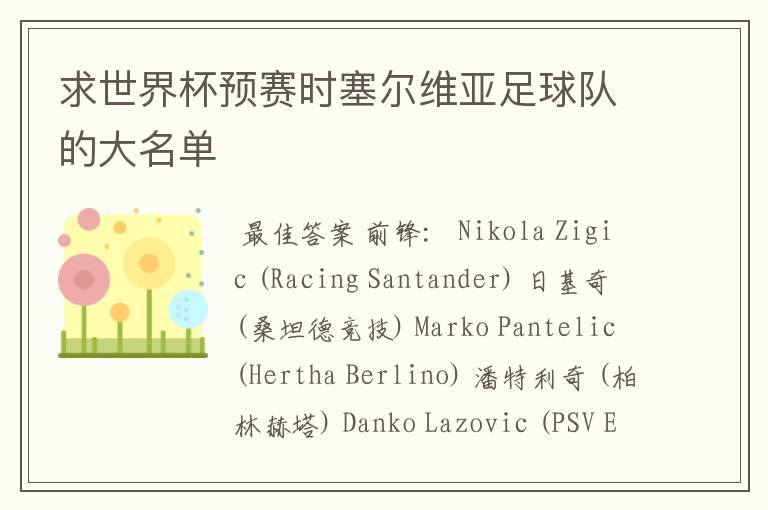 求世界杯预赛时塞尔维亚足球队的大名单