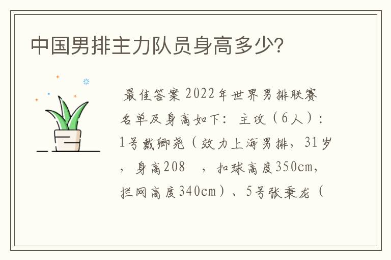中国男排主力队员身高多少?