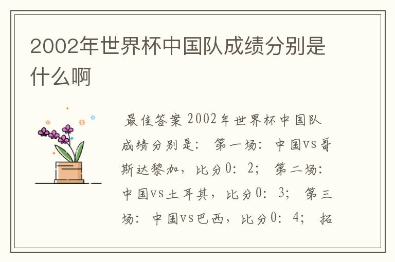 2002年世界杯中国队成绩分别是什么啊