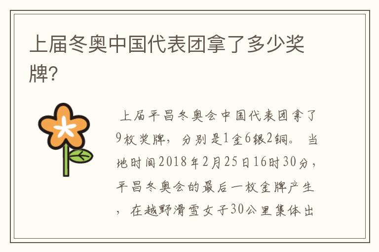 上届冬奥中国代表团拿了多少奖牌?