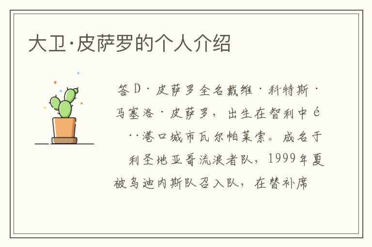 大卫·皮萨罗的个人介绍