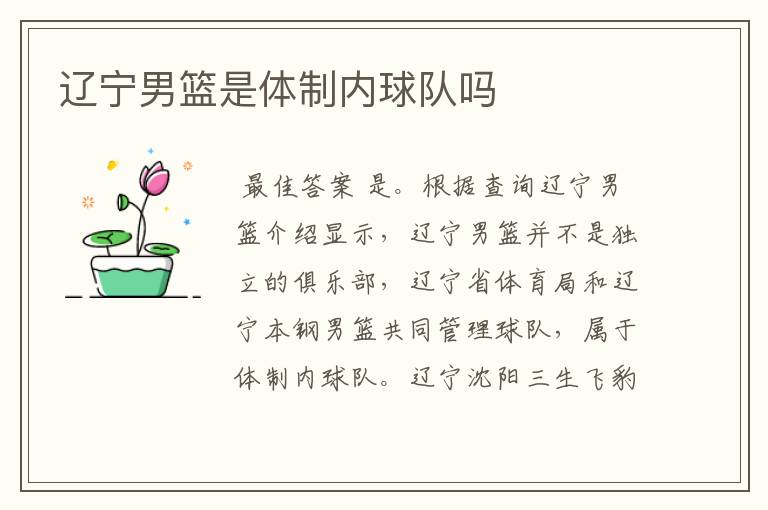 辽宁男篮是体制内球队吗