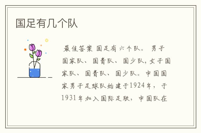 国足有几个队
