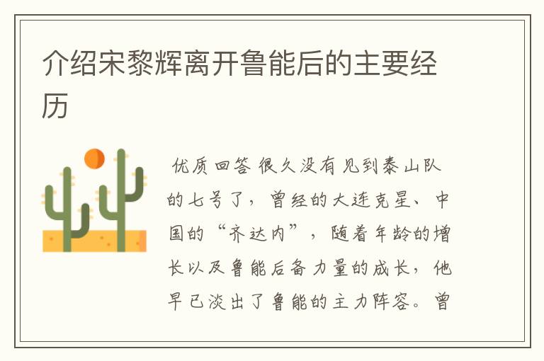 介绍宋黎辉离开鲁能后的主要经历