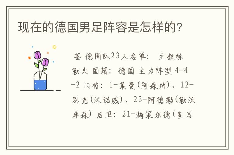 现在的德国男足阵容是怎样的?