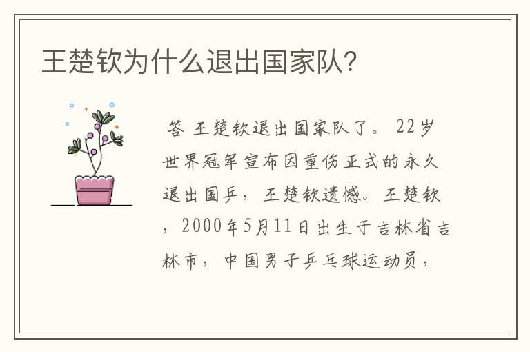 王楚钦为什么退出国家队?