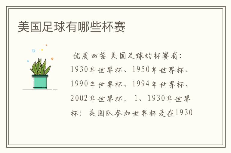美国足球有哪些杯赛