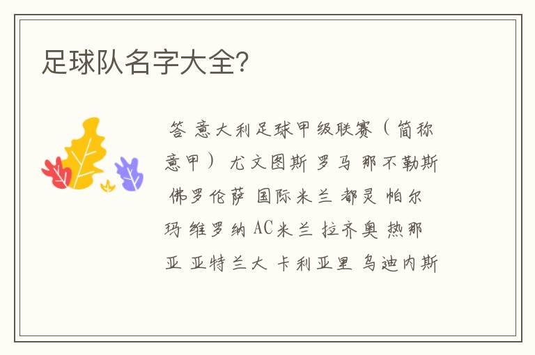 足球队名字大全?