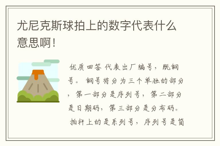 尤尼克斯球拍上的数字代表什么意思啊!