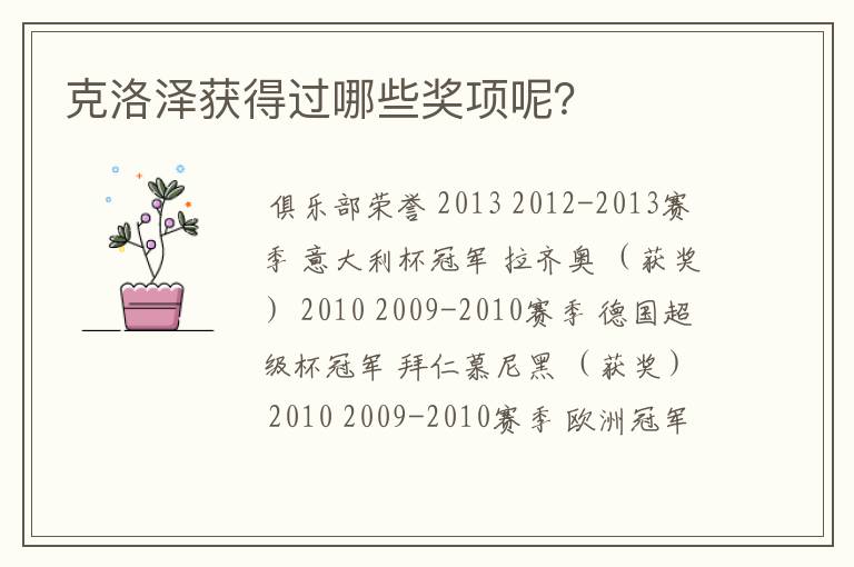 克洛泽获得过哪些奖项呢?