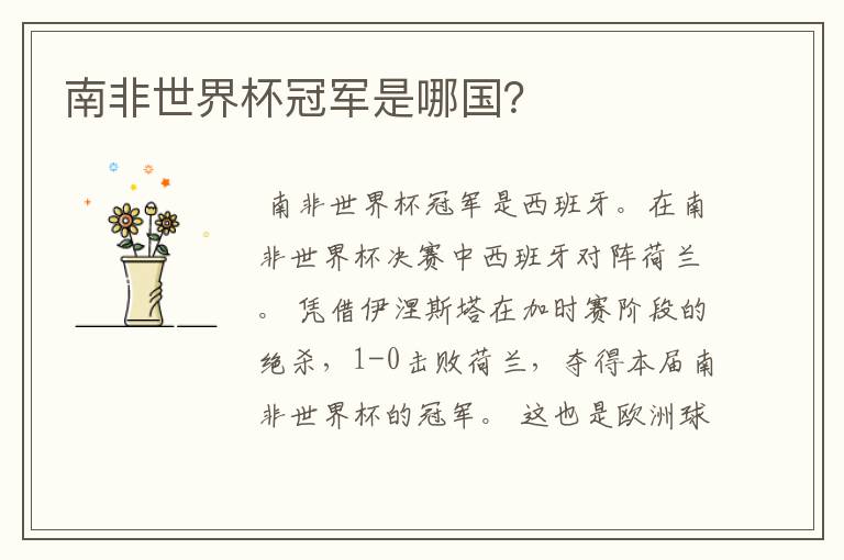 南非世界杯冠军是哪国?