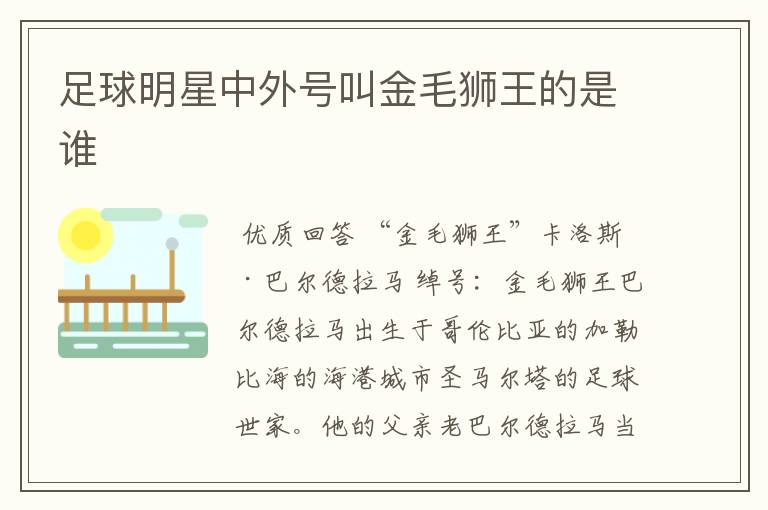 足球明星中外号叫金毛狮王的是谁