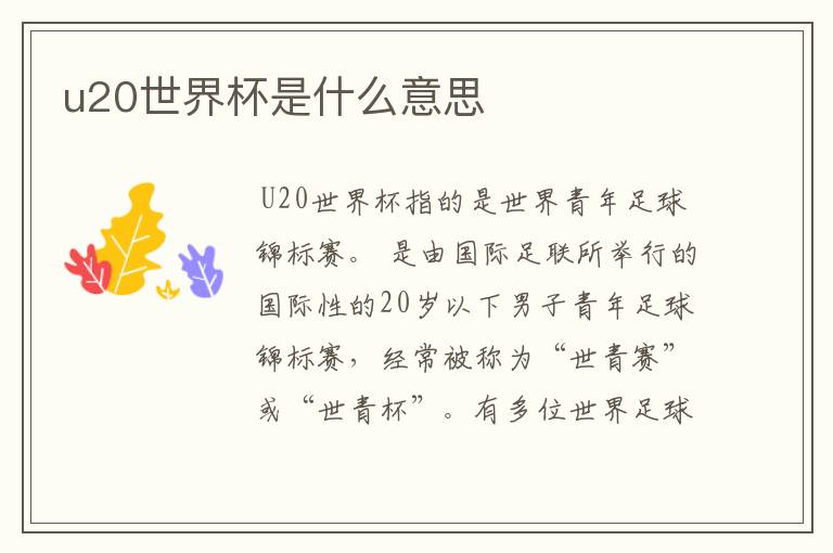 u20世界杯是什么意思