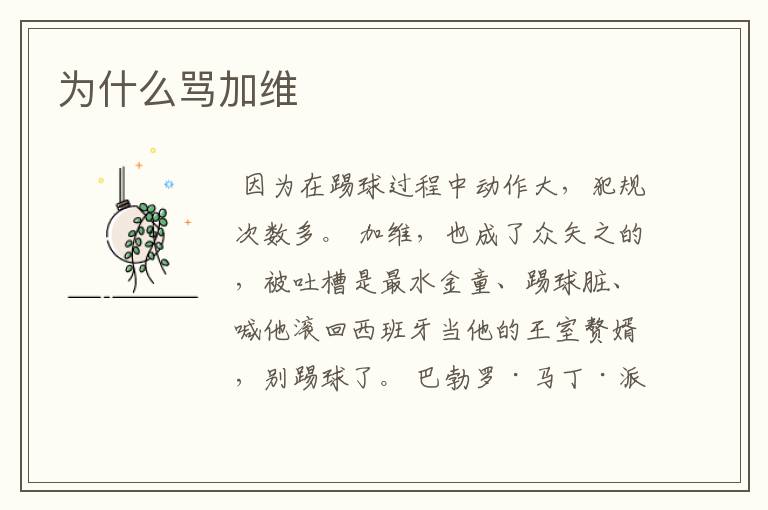 为什么骂加维