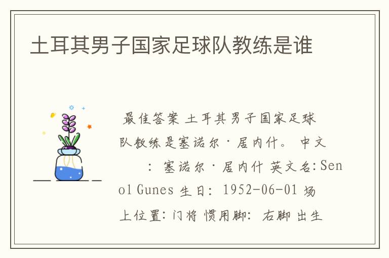 土耳其男子国家足球队教练是谁