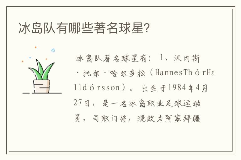 冰岛队有哪些著名球星？