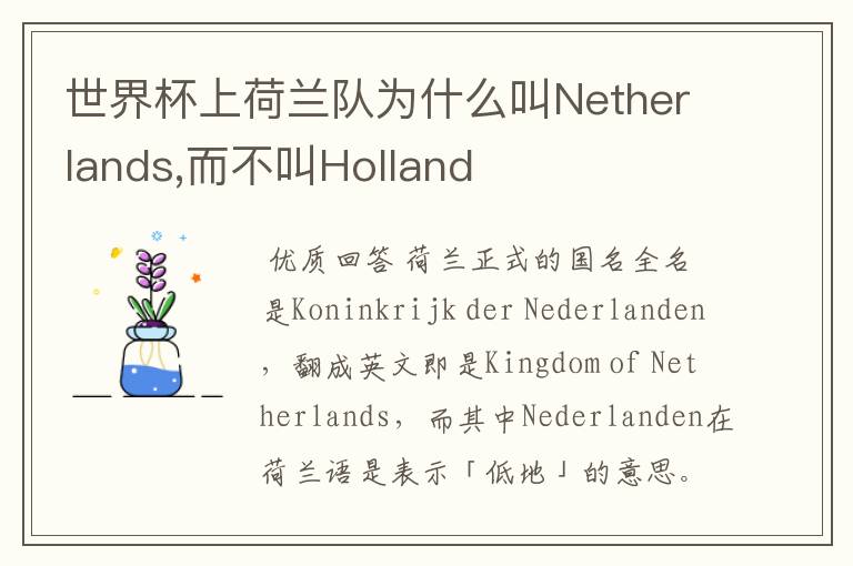 世界杯上荷兰队为什么叫Netherlands,而不叫Holland