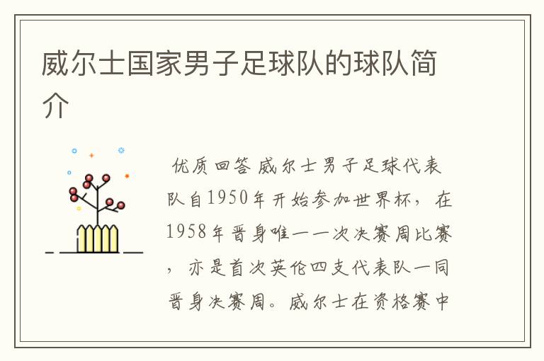 威尔士国家男子足球队的球队简介