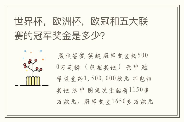世界杯,欧洲杯,欧冠和五大联赛的冠军奖金是多少?