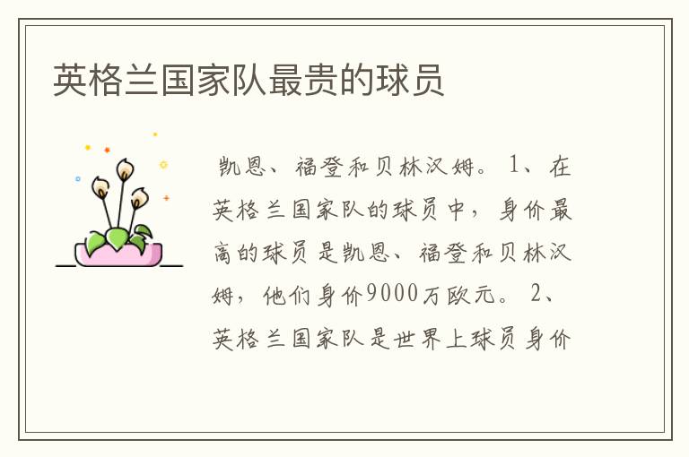 英格兰国家队最贵的球员