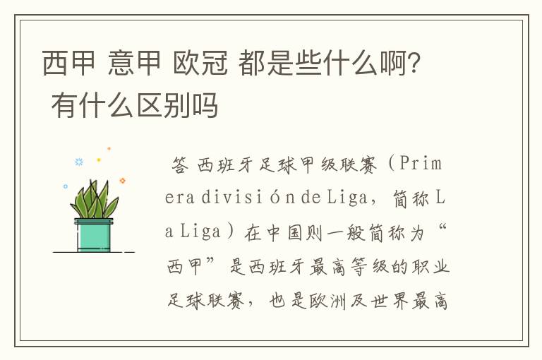 西甲 意甲 欧冠 都是些什么啊? 有什么区别吗