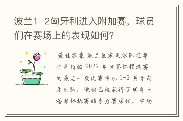 波兰1-2匈牙利进入附加赛,球员们在赛场上的表现如何?