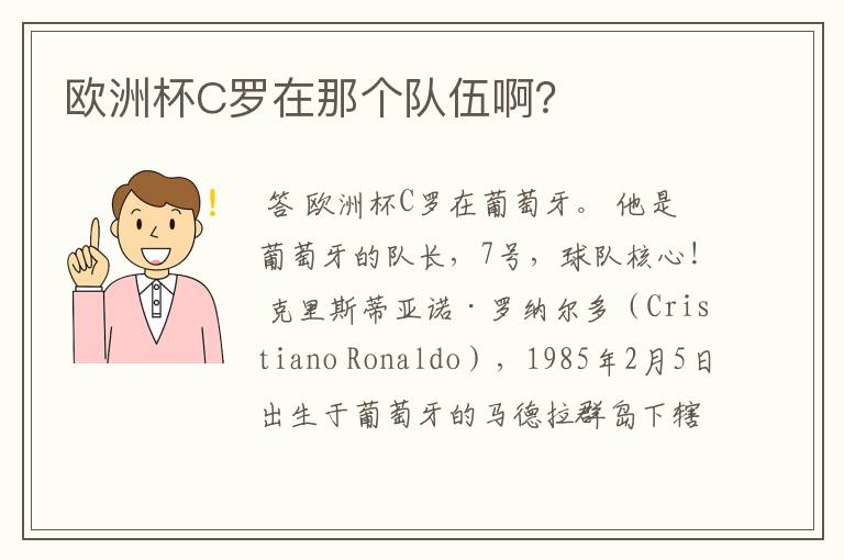 欧洲杯C罗在那个队伍啊?