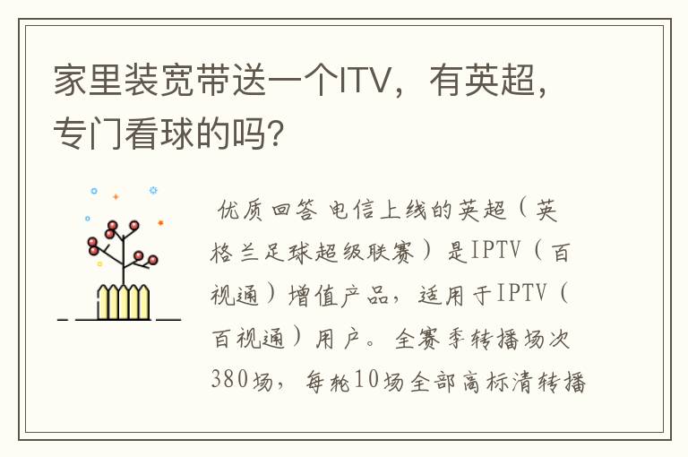 家里装宽带送一个ITV,有英超,专门看球的吗?