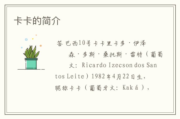 卡卡的简介