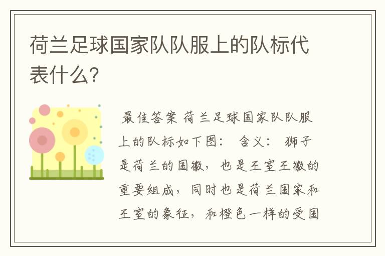 荷兰足球国家队队服上的队标代表什么？