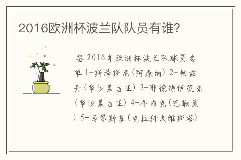 2016欧洲杯波兰队队员有谁?