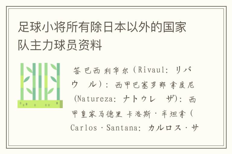 足球小将所有除日本以外的国家队主力球员资料