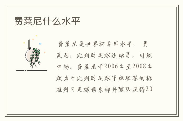 费莱尼什么水平