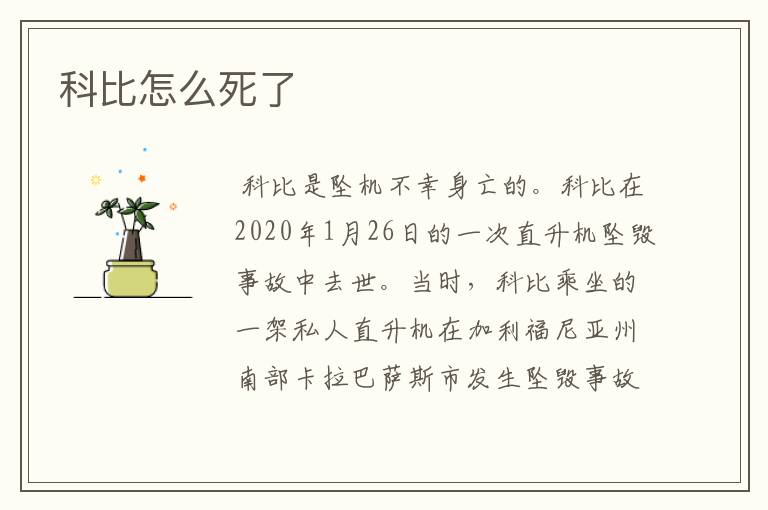 科比怎么死了