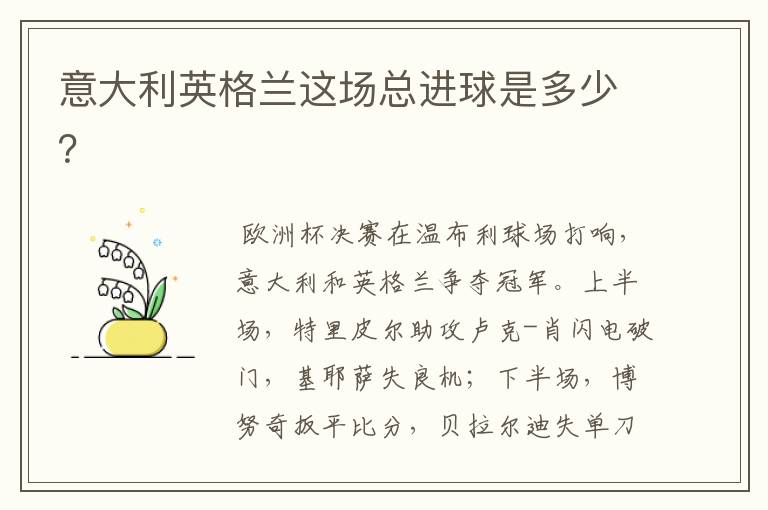 意大利英格兰这场总进球是多少?