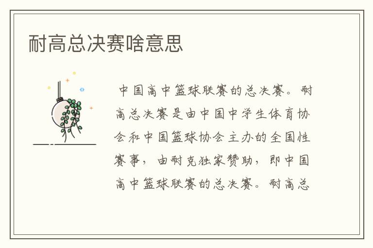 耐高总决赛啥意思