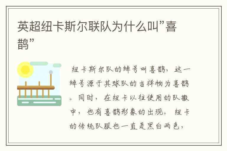 英超纽卡斯尔联队为什么叫”喜鹊”