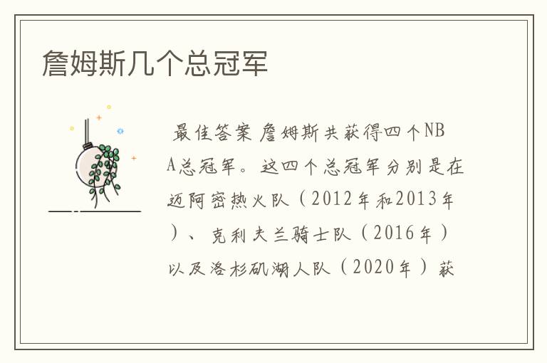詹姆斯几个总冠军