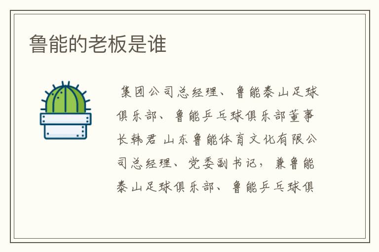 鲁能的老板是谁