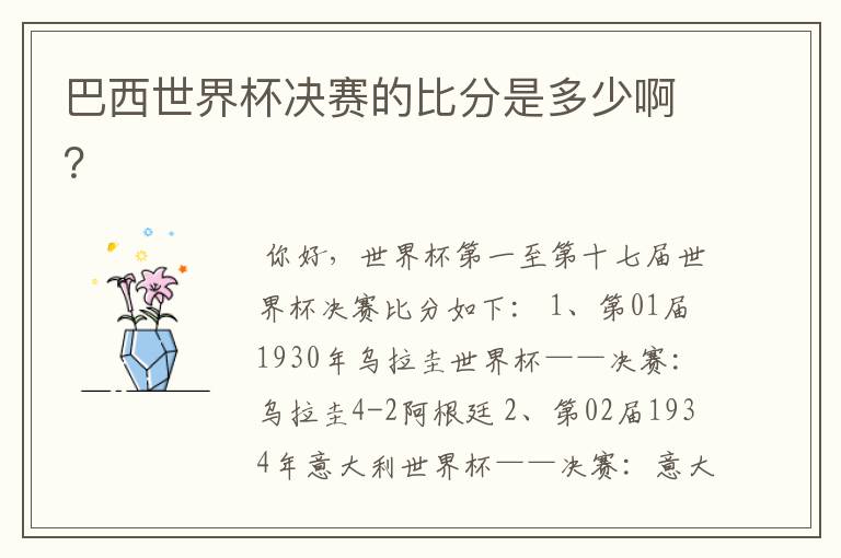 巴西世界杯决赛的比分是多少啊?