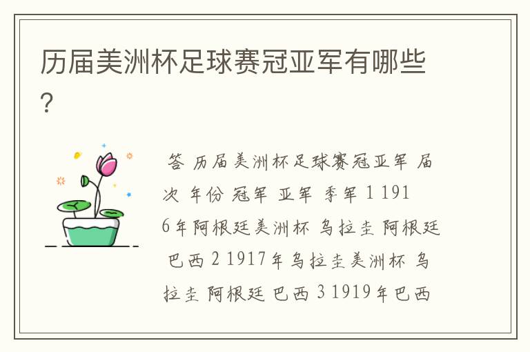 历届美洲杯足球赛冠亚军有哪些?