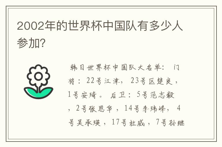 2002年的世界杯中国队有多少人参加?