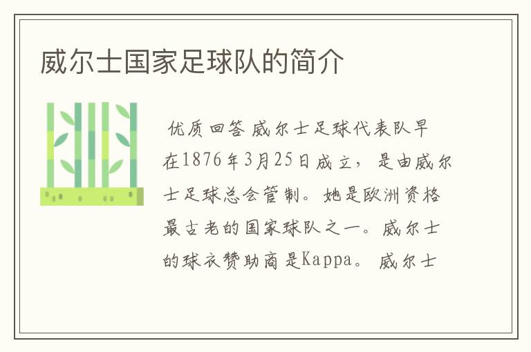 威尔士国家足球队的简介