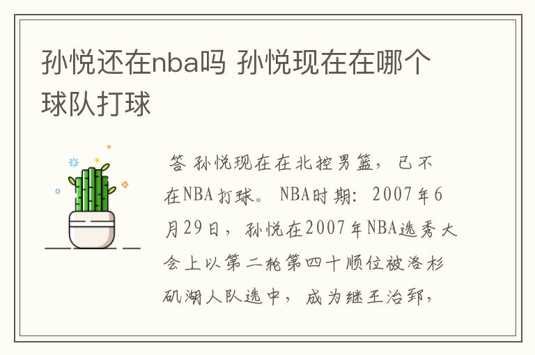 孙悦还在nba吗 孙悦现在在哪个球队打球