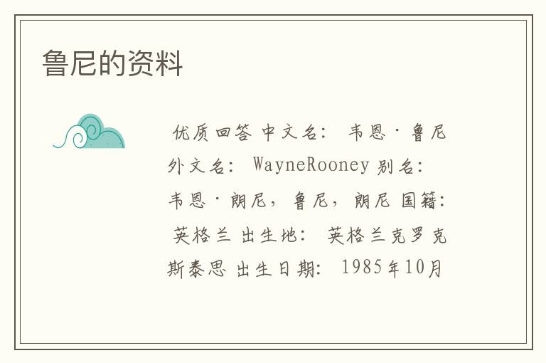鲁尼的资料